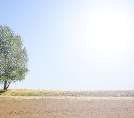 Image showing Natural farmer setting