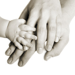 Image showing Hands of a family