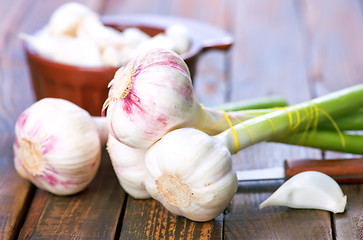 Image showing fresh garlic