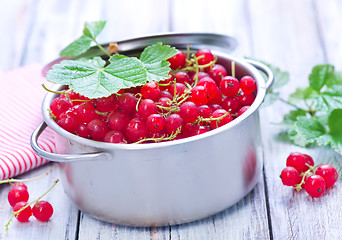 Image showing red currant