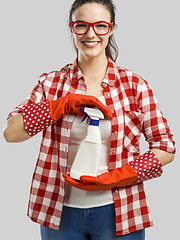 Image showing Cleaning day