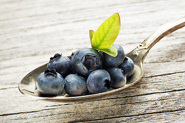 Image showing Blueberry