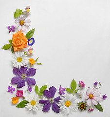 Image showing Frame of Various Flowers Isolated