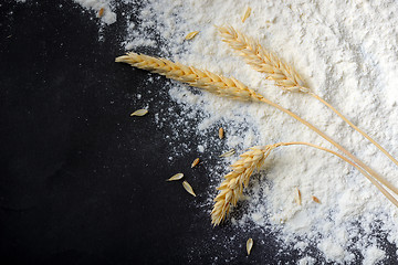 Image showing Whole flour and wheat ears