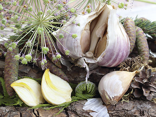 Image showing Dried garlic cloves