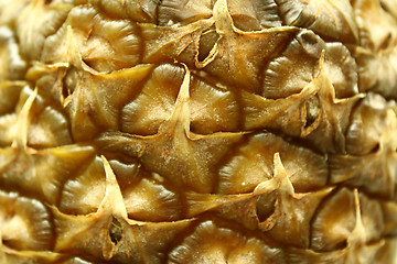Image showing Texture of ripe pineapple peel