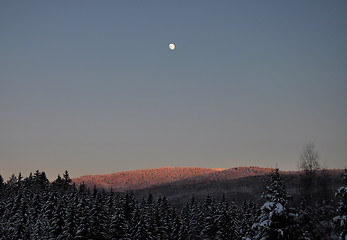 Image showing Moonrise in winter scenery