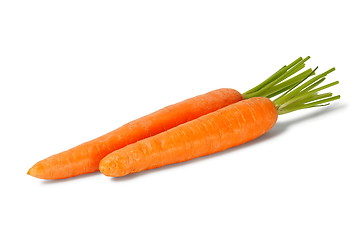 Image showing Two carrots on white