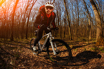 Image showing Man cyclist riding the bicycle