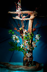 Image showing Ikebana on a blue background