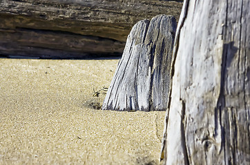 Image showing Abstract background with wood and sand