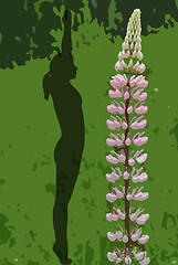 Image showing Woman with lupine in yoga position