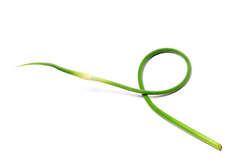 Image showing Fresh garlic scape on white