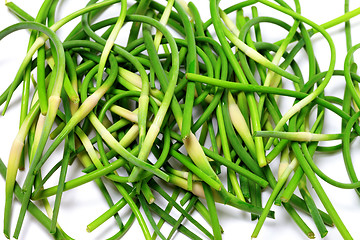 Image showing Fresh green garlic scape on white