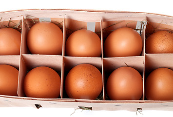 Image showing Brown eggs in eco box