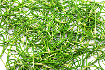 Image showing Background of fresh garlic scape