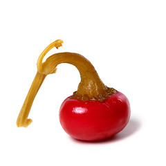 Image showing Hot turkish pickled pepper on white background