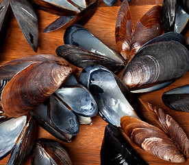 Image showing Shells of mussels on kitchen board