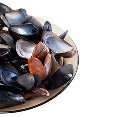 Image showing Shells of mussels on glass plate