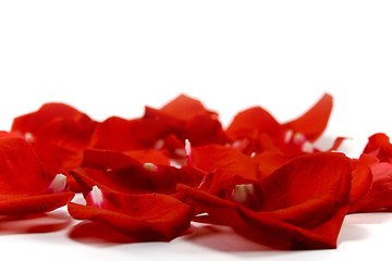 Image showing red petals