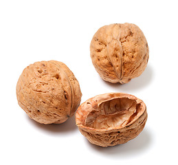 Image showing Ripe walnuts on white