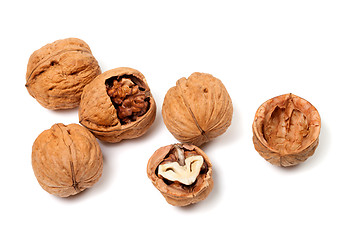 Image showing Walnuts on white background