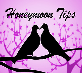 Image showing Honeymoon Tips Means Vacational Destinations And Guidance
