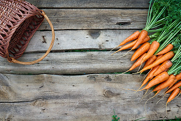 Image showing Fresh carrots bunch on rustic wooden background