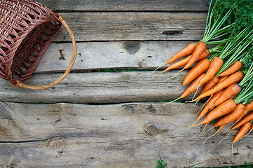 Image showing Fresh carrots bunch on rustic wooden background