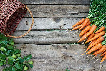 Image showing Fresh carrots bunch and tomatoes on rustic wooden background