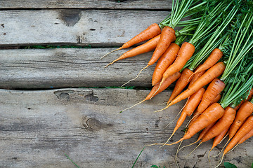 Image showing Fresh carrots bunch on rustic wooden background