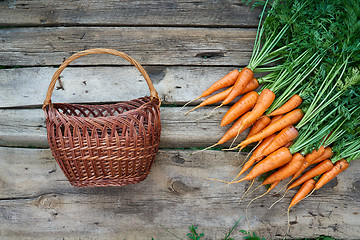 Image showing Fresh carrots with green leaves and empty wicker basket