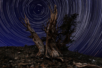 Image showing Light Painted Landscape of Camping and Stars