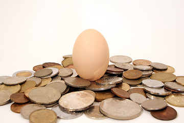 Image showing Egg surrounded by coins