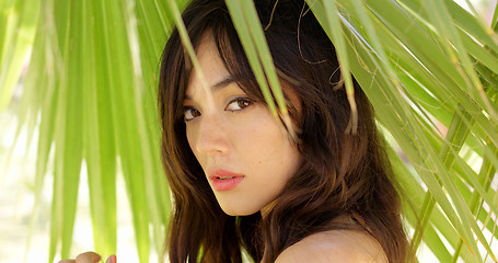 Image showing Calm young woman in shade of palm leaves