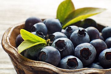 Image showing Blueberry