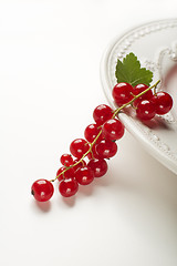 Image showing Red currant