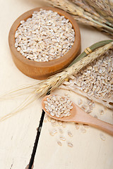 Image showing organic wheat grains 