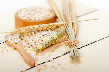 Image showing organic barley grains