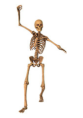 Image showing 3D Rendering Human Skeleton on White