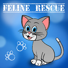 Image showing Feline Rescue Represents Domestic Cat And Cats