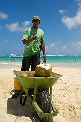 Image showing Coconut salesman on beach