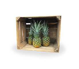 Image showing Pineapples