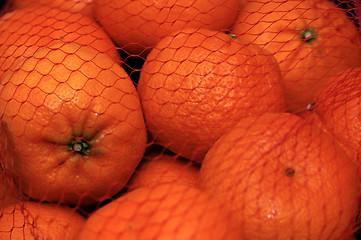 Image showing Oranges