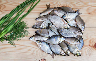 Image showing Fish hooked in the river on a table surface.