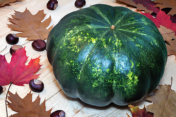 Image showing Large green pumpkin, chestnuts and yellow leaves.g