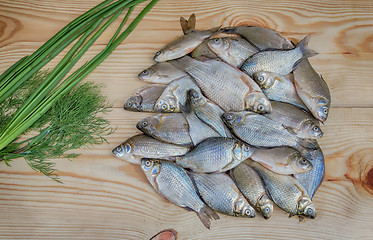 Image showing Fish hooked in the river on a table surface.