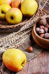 Image showing crop of apples and nuts