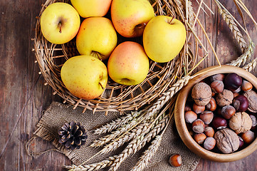 Image showing crop of apples and nuts