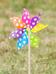 Image showing Wind mill toy on the grass